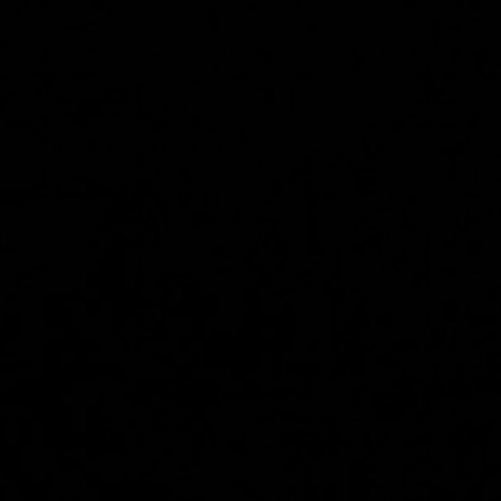 Meet your Posher, Raeesa